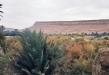 de Tafilalt, grootste dadelpalmoase van Marokko